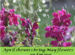 April showers