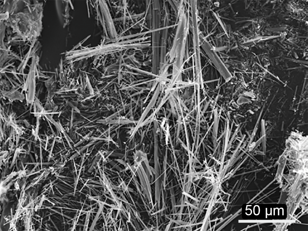 Asbestos fibers